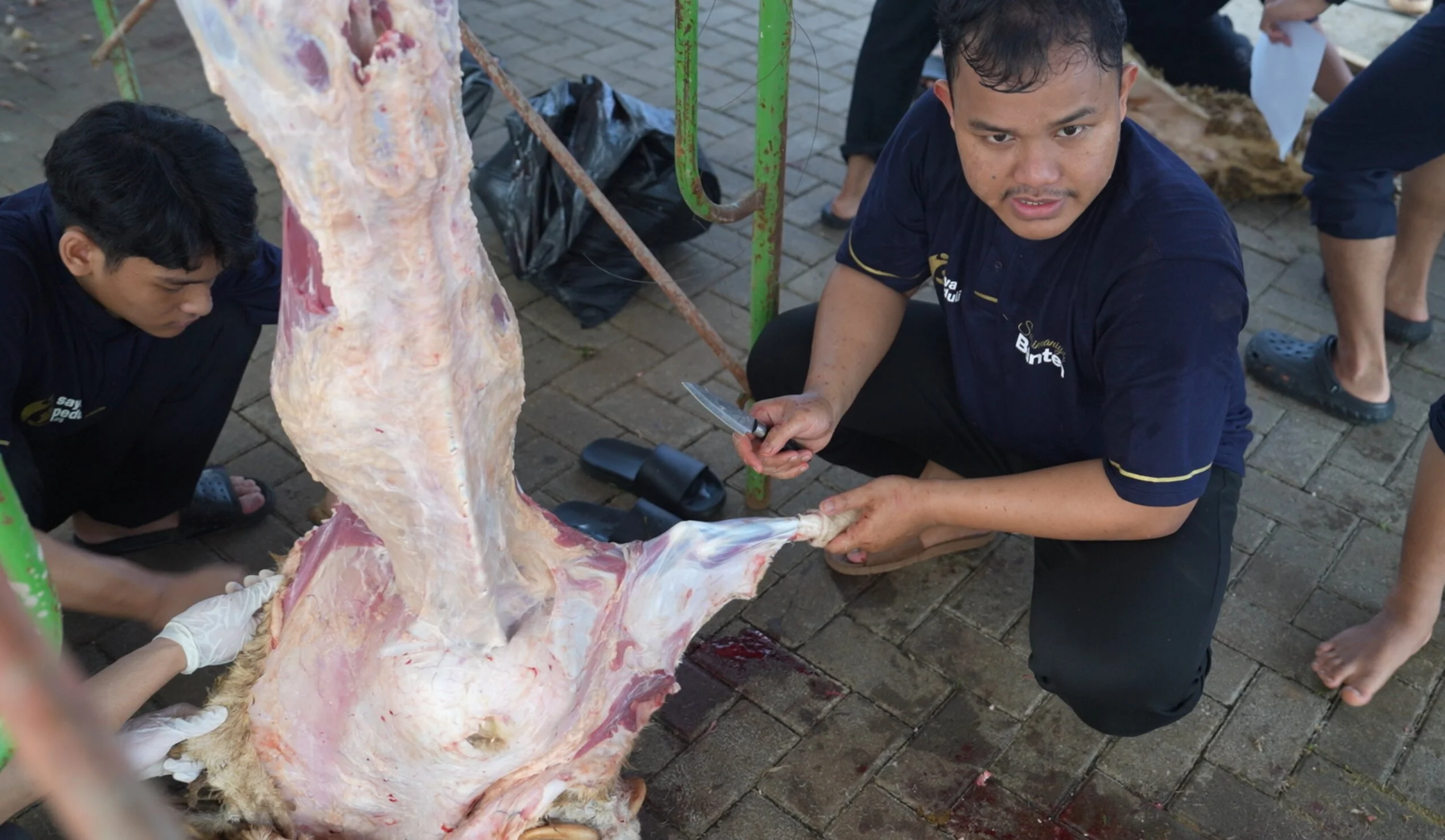 Foto 24 dari album Kurban Bersama Santri Tahfidz 2026